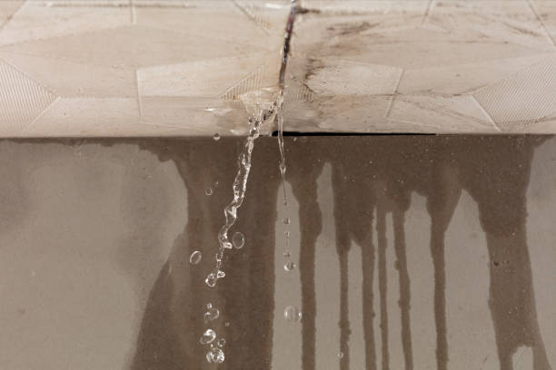 Professional Water Extraction technician working in Florissant, MO